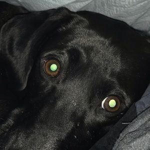 Meet your Posher, Drew